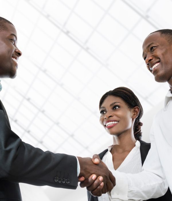 Three african business people handshake, Studio Shot, Cameroon