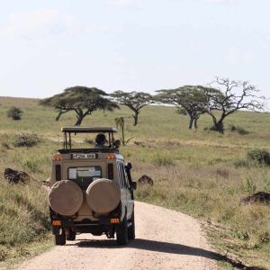 7-Day Classic Kenya Safari Itinerary