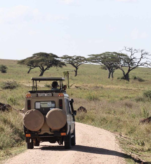 Serengeti National Park