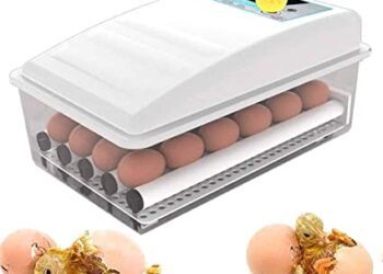 Automatic egg incubator