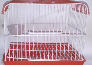 Parrot cage 1