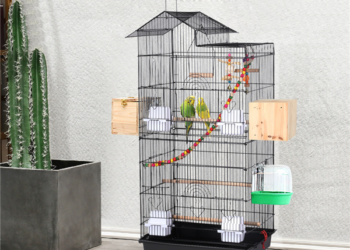 Parrot cage for sale