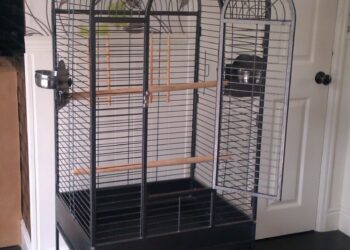 Parrot long cage