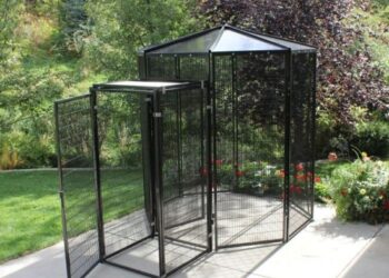 Swift-Bird-Cage-Parrot-Cage-for-Sale