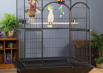 Swift Parrot cage