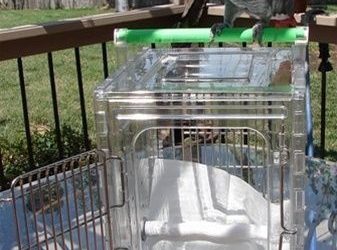 Transparent parrot cage.1