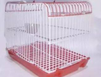 parrot cage2